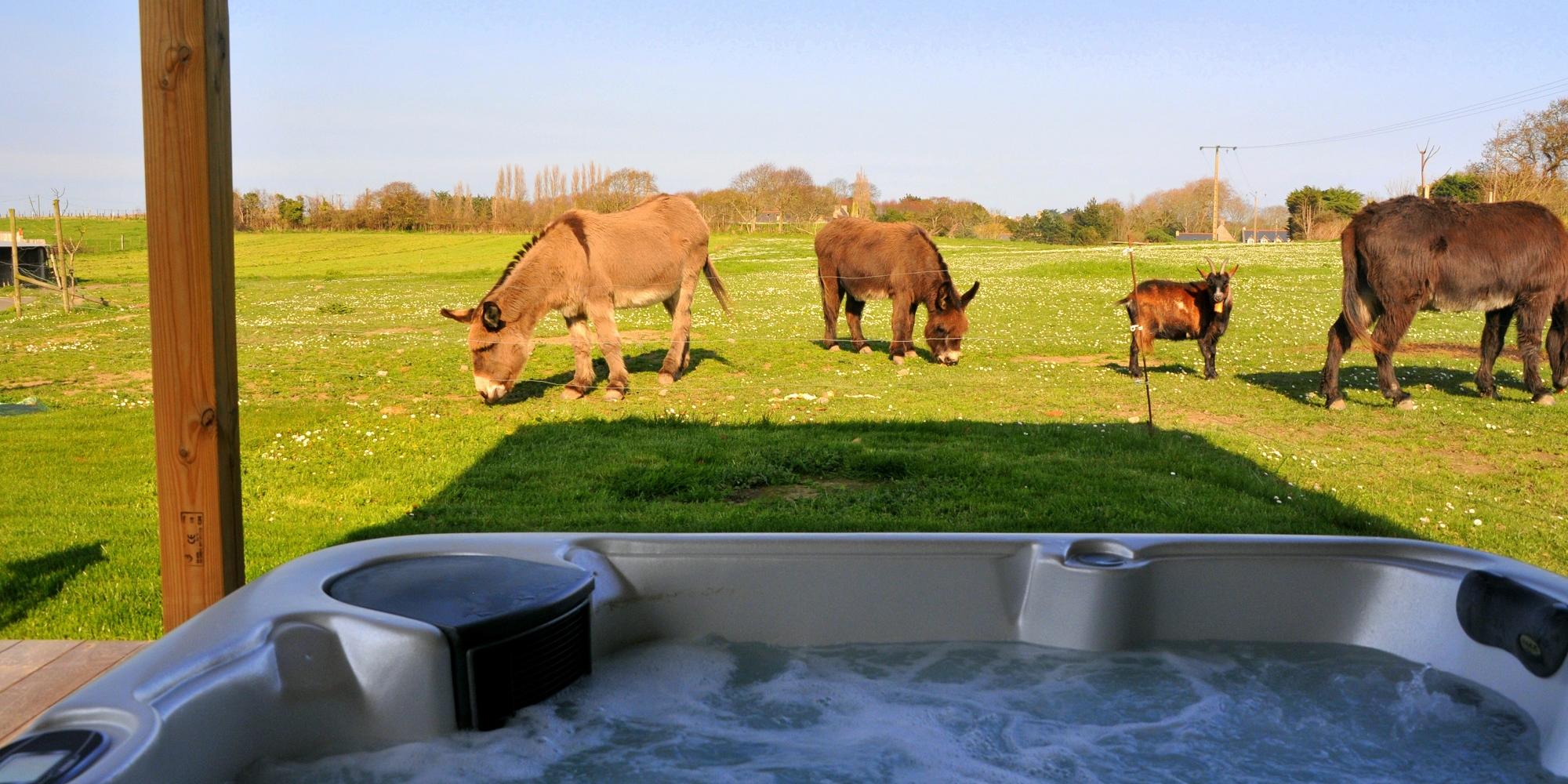 Détendez-vous dans un spa avec vue sur les animaux de la ferme